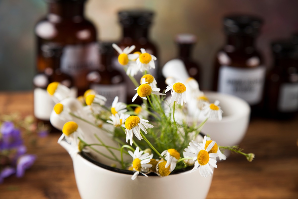 homéopathes et naturopathes à Vevey