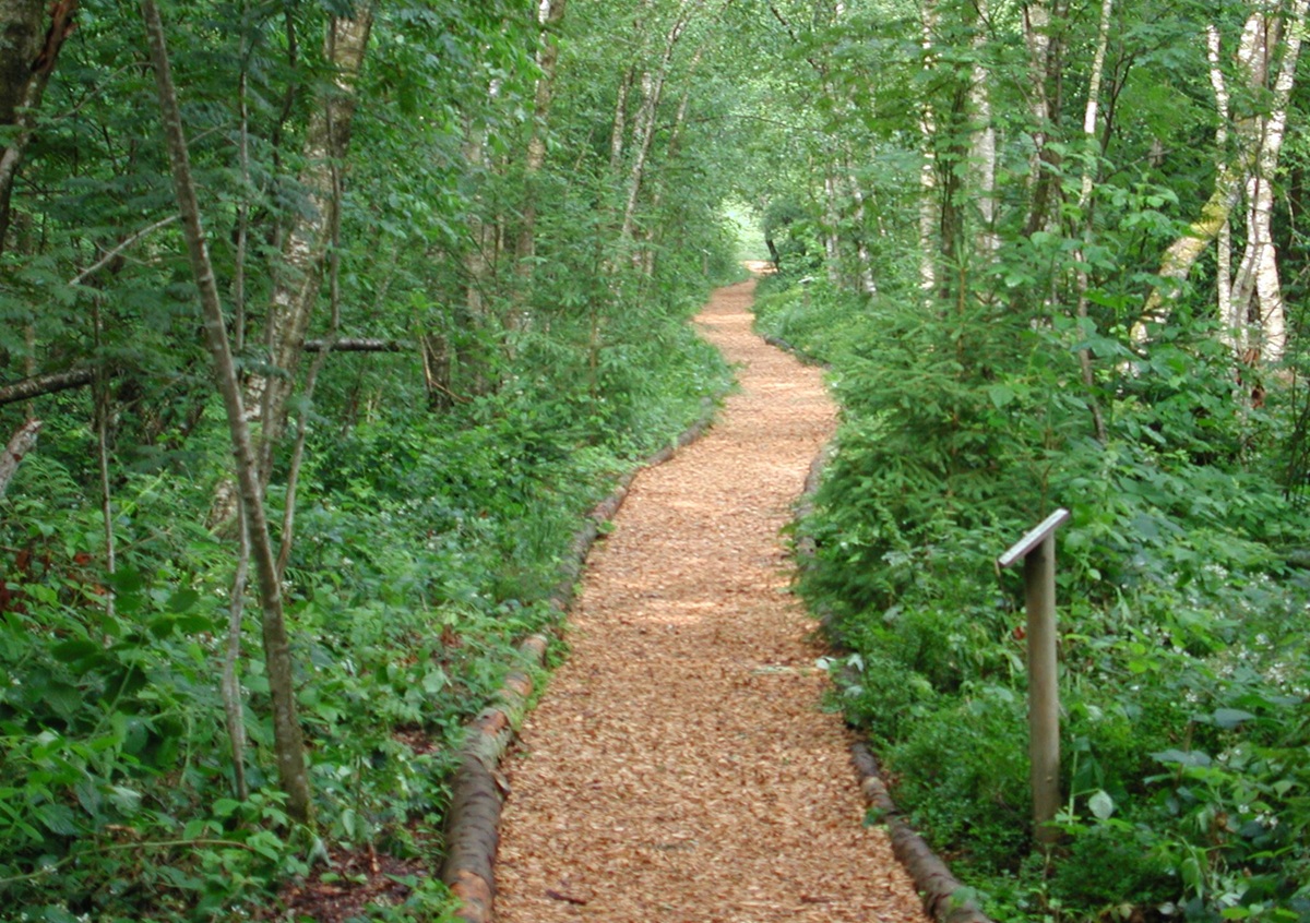 balade de la Tourbière du Crêt