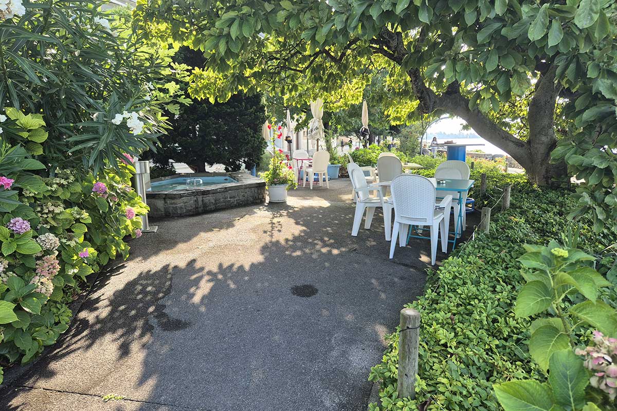 Photo de la superbe terrasse ombragée