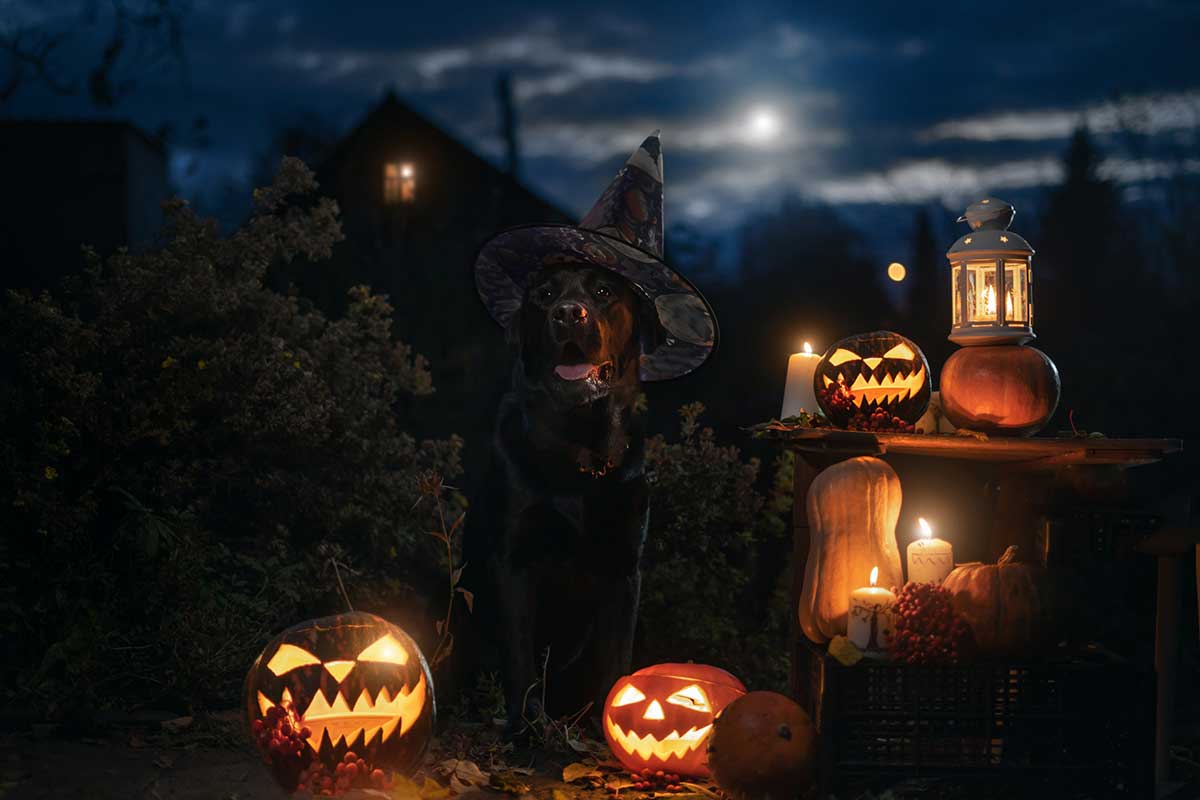 Halloween 2025 en Suisse romande