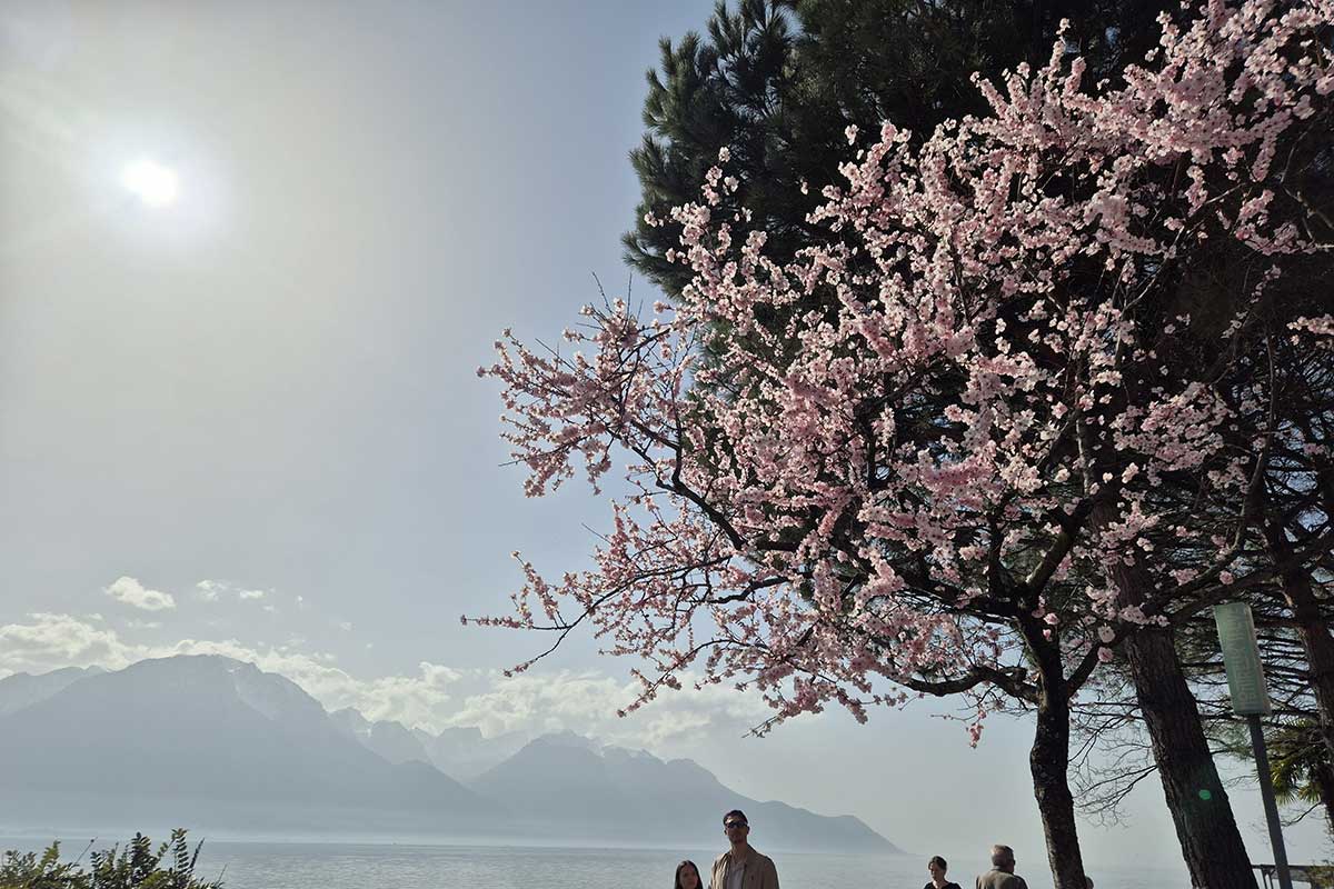 Riviera vaudoise pendant les vacances de Pâques