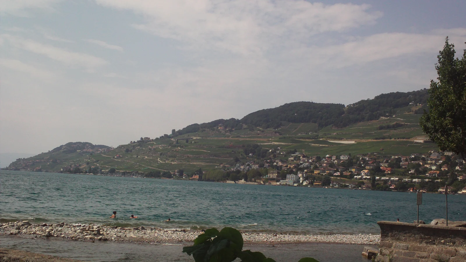 Vue sur les coteaux et le Léman près de Corseaux