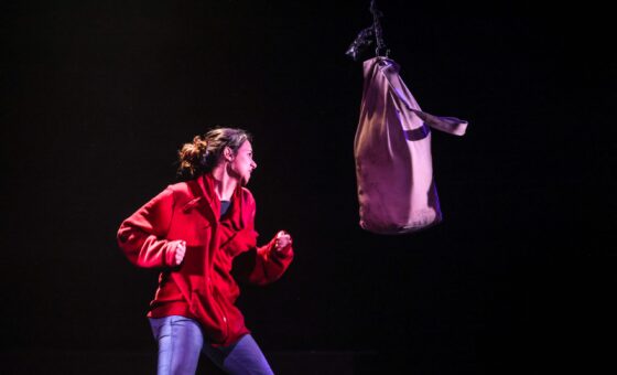 Le Dernier Cèdre du Liban au Théâtre Le Reflet