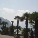 Promenade au bord du Léman à Montreux avec palmiers et montagnes