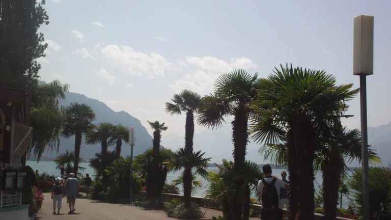 Promenade au bord du Léman à Montreux avec palmiers et montagnes