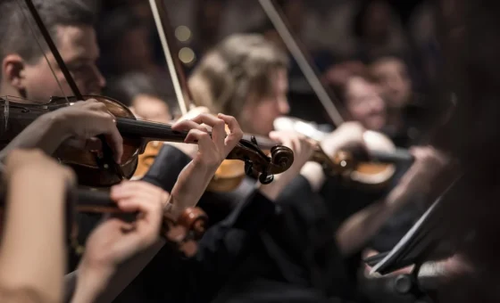 Violonistes jouant dans un orchestre en concert