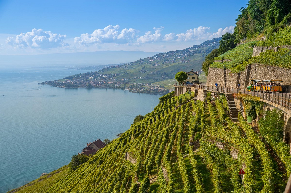 Vacances sur la Riviera vaudoise : que faire en été sur les rives du Léman