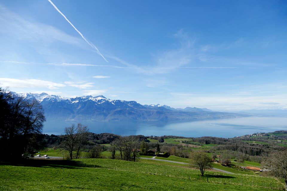 Explorer le mont Pèlerin à Chardonne : suivez le guide!