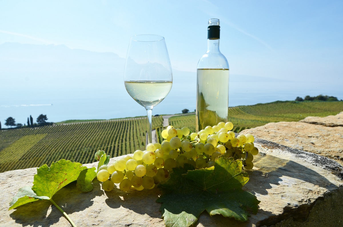 Le marché des vins de Chardonne 2024 s&rsquo;annonce festif