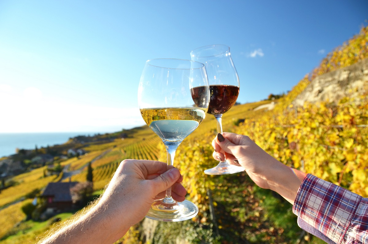 vin lavaux