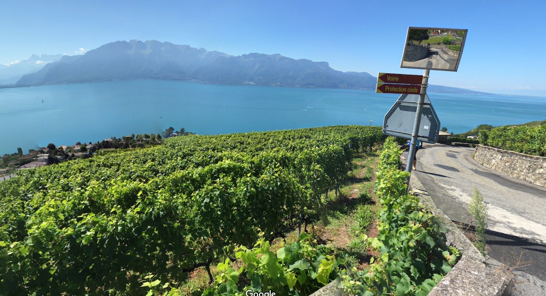 Randonner dans les vignobles de Lavaux : Vevey à Saint-Saphorin en 1h30