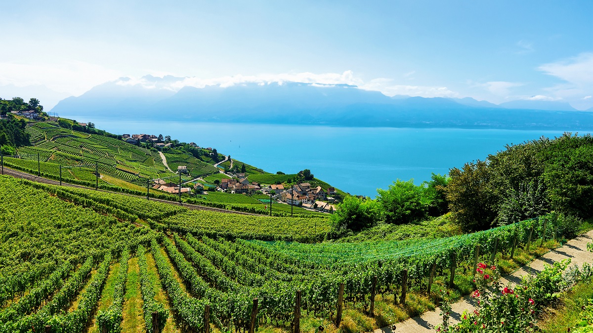 Que faire en juin sur la Riviera vaudoise?