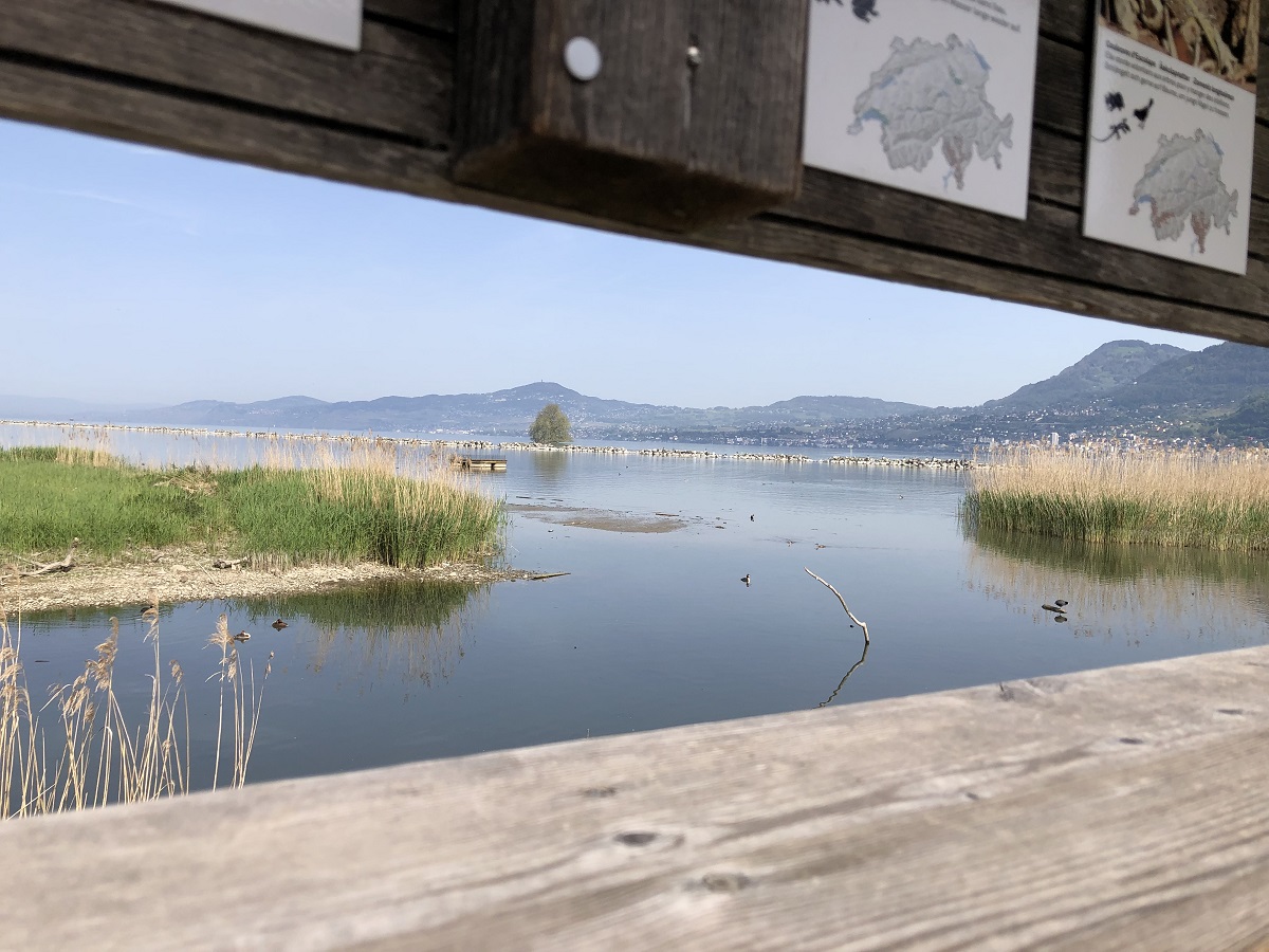 Les Grangettes : visitez la plus grande réserve naturelle autour du Léman
