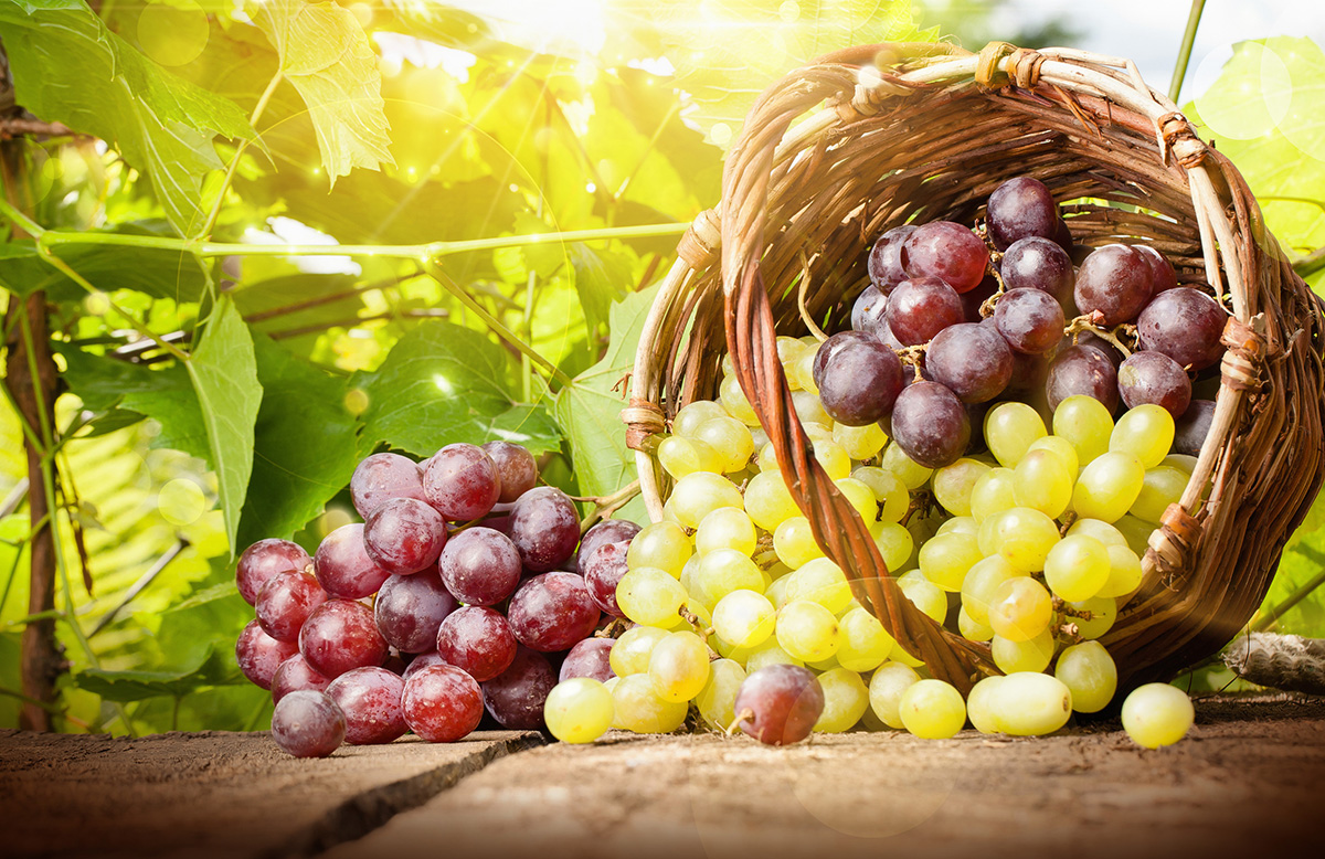 Raisin : tous ses secrets beauté pour une peau éclatante