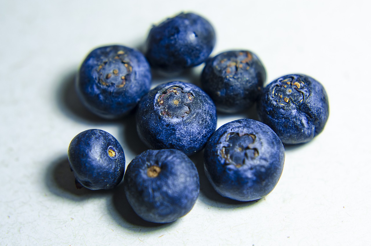 Myrtille : bienfaits santé bluffants, astuces et recettes