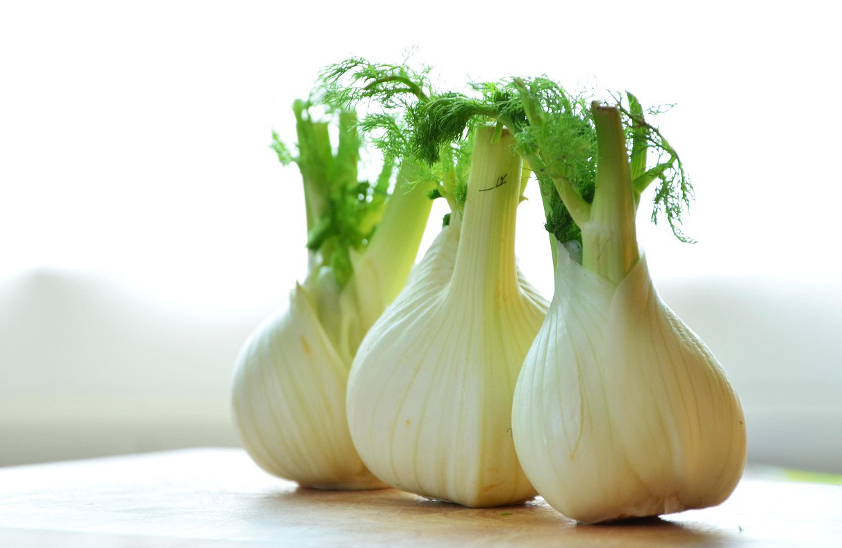 Fenouil : le super-légume minceur qui booste la digestion et la vitalité