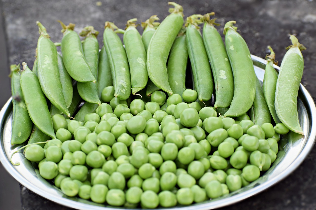 Petit pois : Le guide bien-être, gourmandise et cuisine