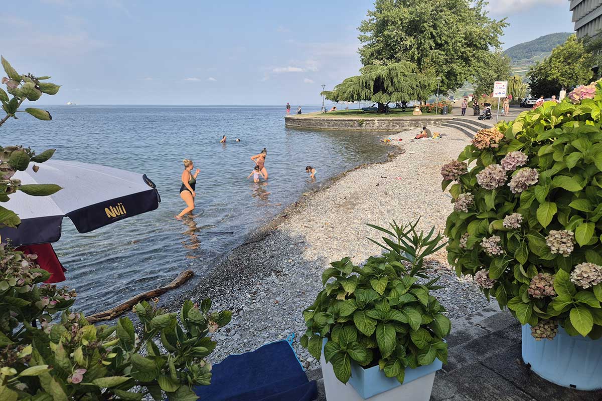 Plage de l’aviron à Vevey : simplicité et charme au bord du lac