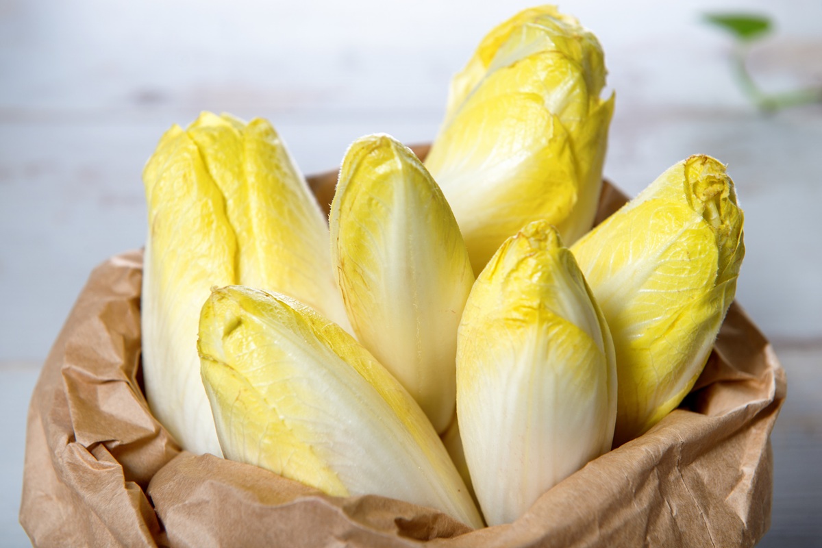 Congeler les endives : toutes les astuces pour en profiter longtemps à la maison