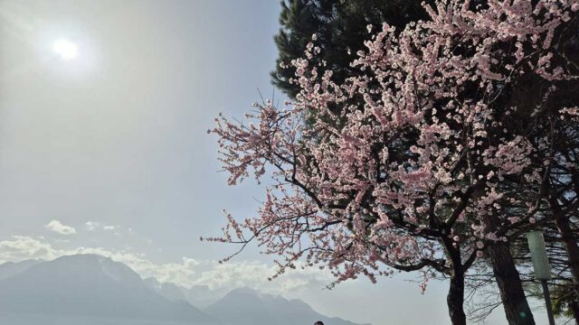 riviera-vaudoise-vacances-de-paques